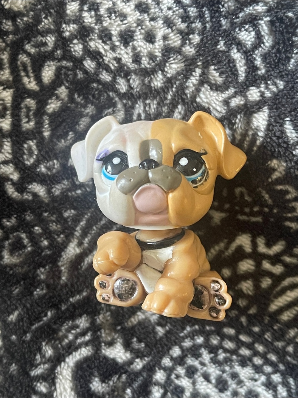 LPS bulldog